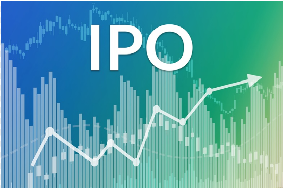 IPO 의미 장단점 5가지 상장 일정 확인 방법 주식 투자 전략