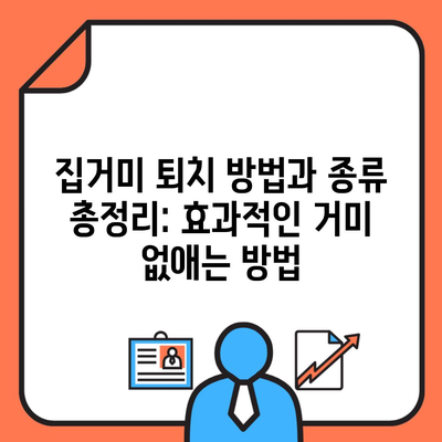 집거미 퇴치 방법과 종류 총정리: 효과적인 거미 없애는 방법