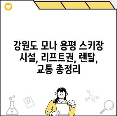 강원도 모나 용평 스키장 시설, 리프트권, 렌탈, 교통 총정리