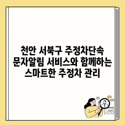 천안 서북구 주정차단속 문자알림 서비스와 함께하는 스마트한 주정차 관리