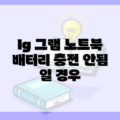 lg 그램 노트북 배터리 충전 안됨 일 경우