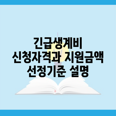 긴급생계비 신청자격과 지원금액 선정기준 설명