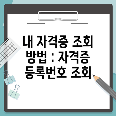 내 자격증 조회 방법 : 자격증 등록번호 조회