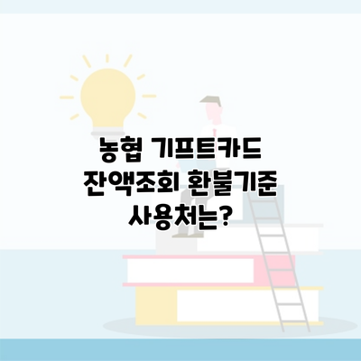 농협 기프트카드 잔액조회 환불기준 사용처는?