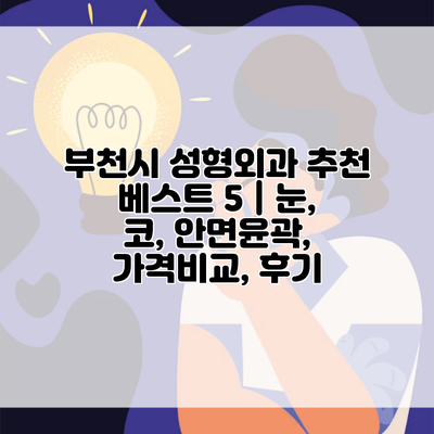 부천시 성형외과 추천 베스트 5 | 눈, 코, 안면윤곽, 가격비교, 후기