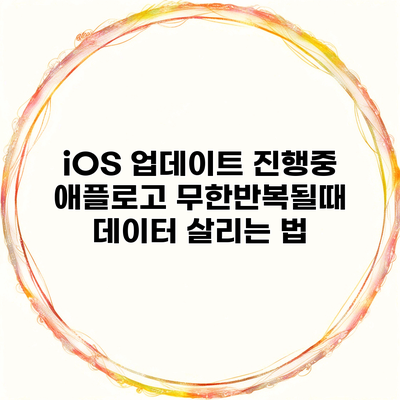 iOS 업데이트 진행중 애플로고 무한반복될때 데이터 살리는 법