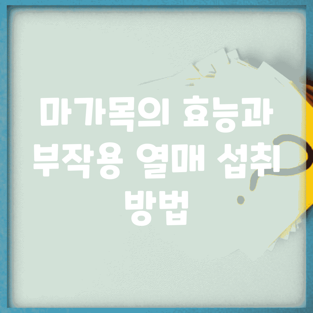 마가목의 효능과 부작용, 열매 섭취 방법