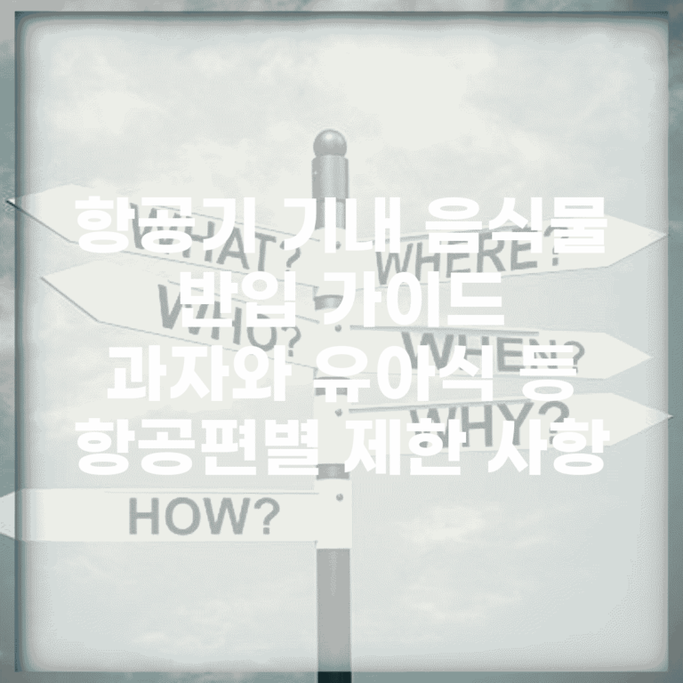 항공기 기내 음식물 반입 가이드 | 과자와 유아식 등 항공편별 제한 사항
