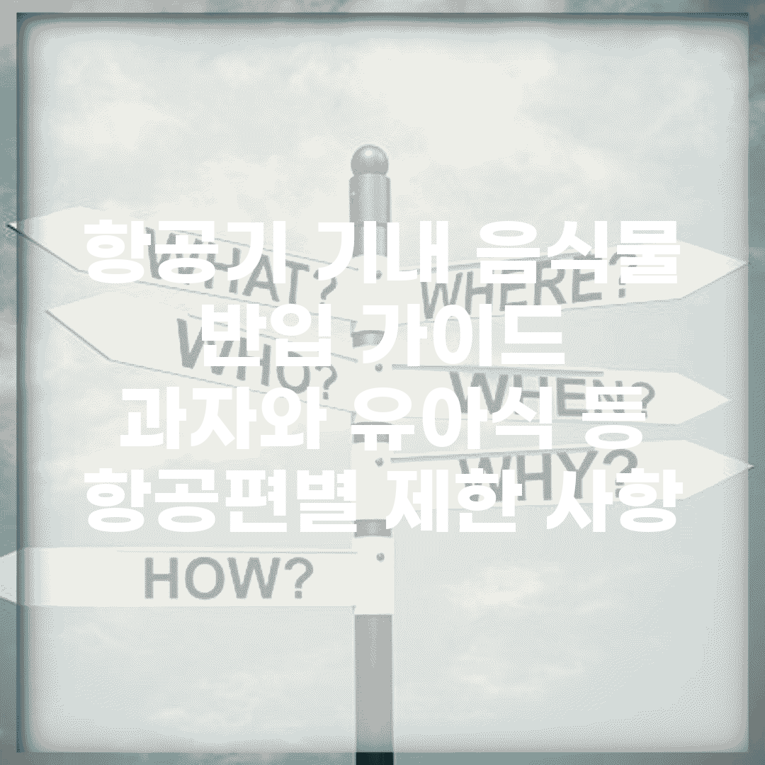 항공기 기내 음식물 반입 가이드 | 과자와 유아식 등 항공편별 제한 사항
