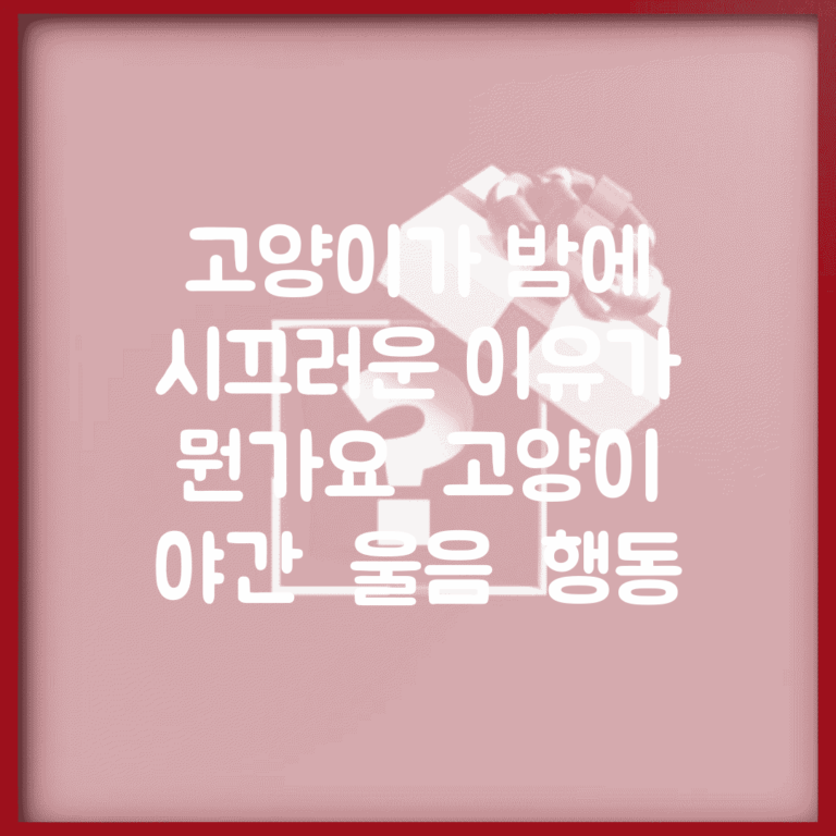 고양이가 밤에 시끄러운 이유가 뭔가요 | 고양이 야간 | 울음 | 행동