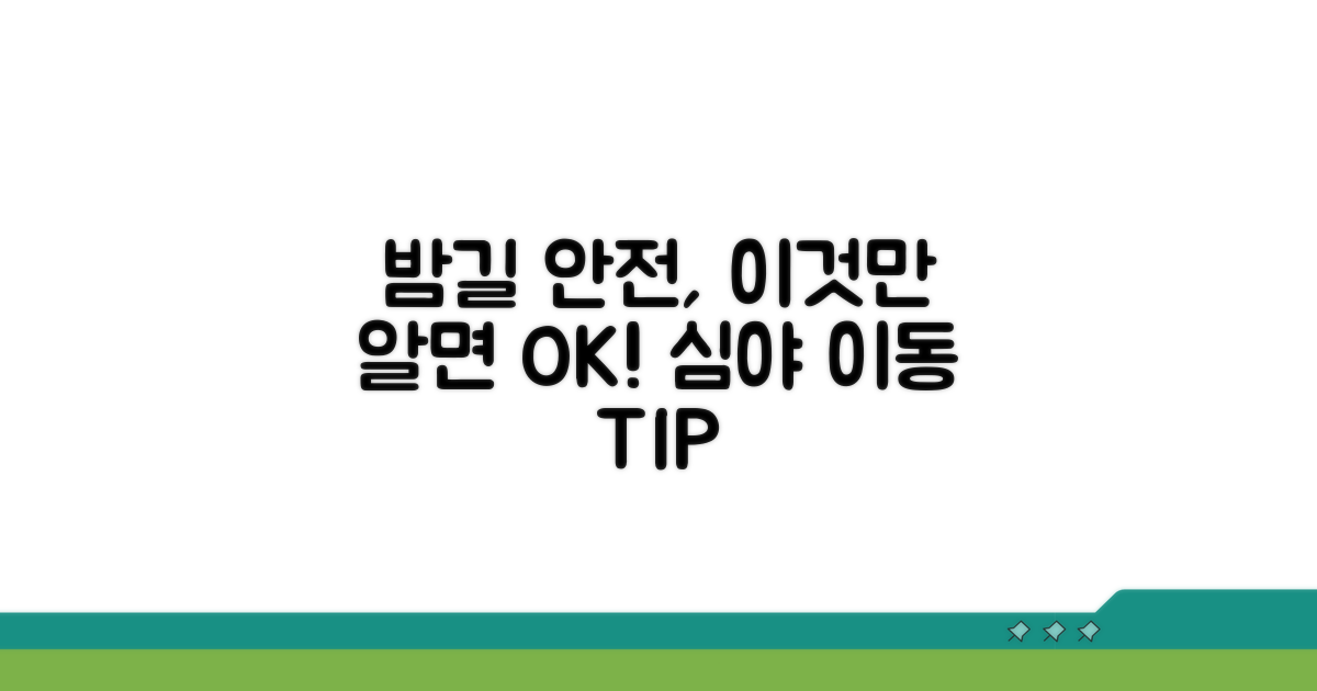 심야 이동 시 추가 안전 팁