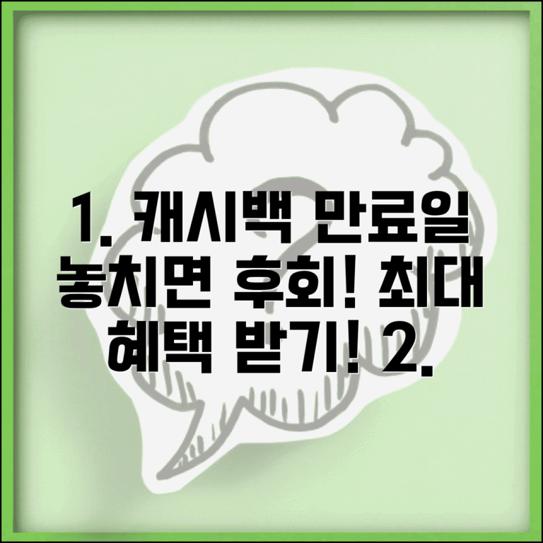 캐시백 유효기간 | 캐시백 사용 기한 완벽가이드