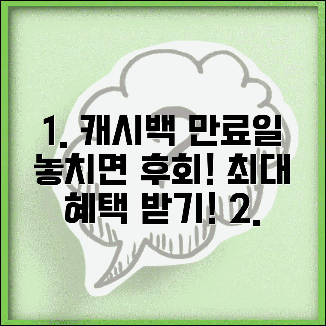 캐시백 유효기간 | 캐시백 사용 기한 완벽가이드