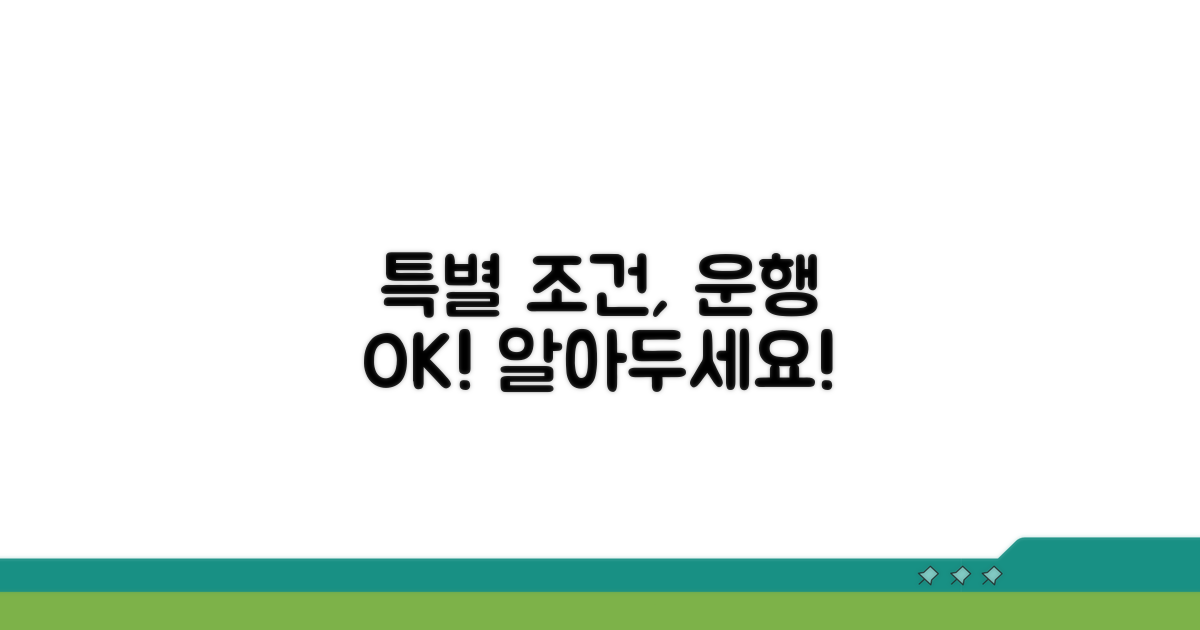 운행 허용되는 특별한 조건들