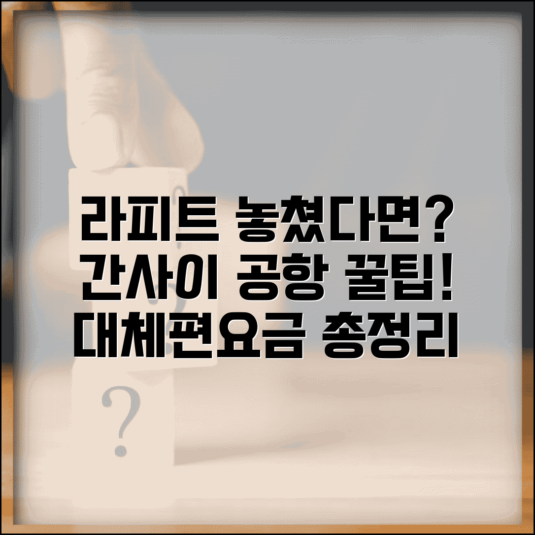 라피트 놓쳤을 때 간사이공항 대처 | 일본 공항철도 놓치면 대체 교통편과 추가 요금 안내