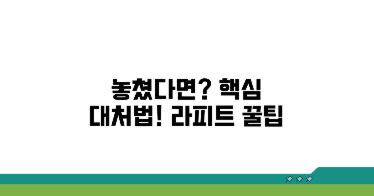 라피트 놓쳤을 때 대처법
