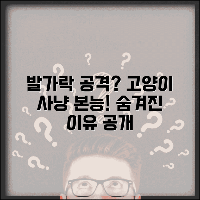 고양이가 사람 발가락 공격하는 이유가 뭔가요 | 고양이 발가락 | 사냥놀이 | 행동