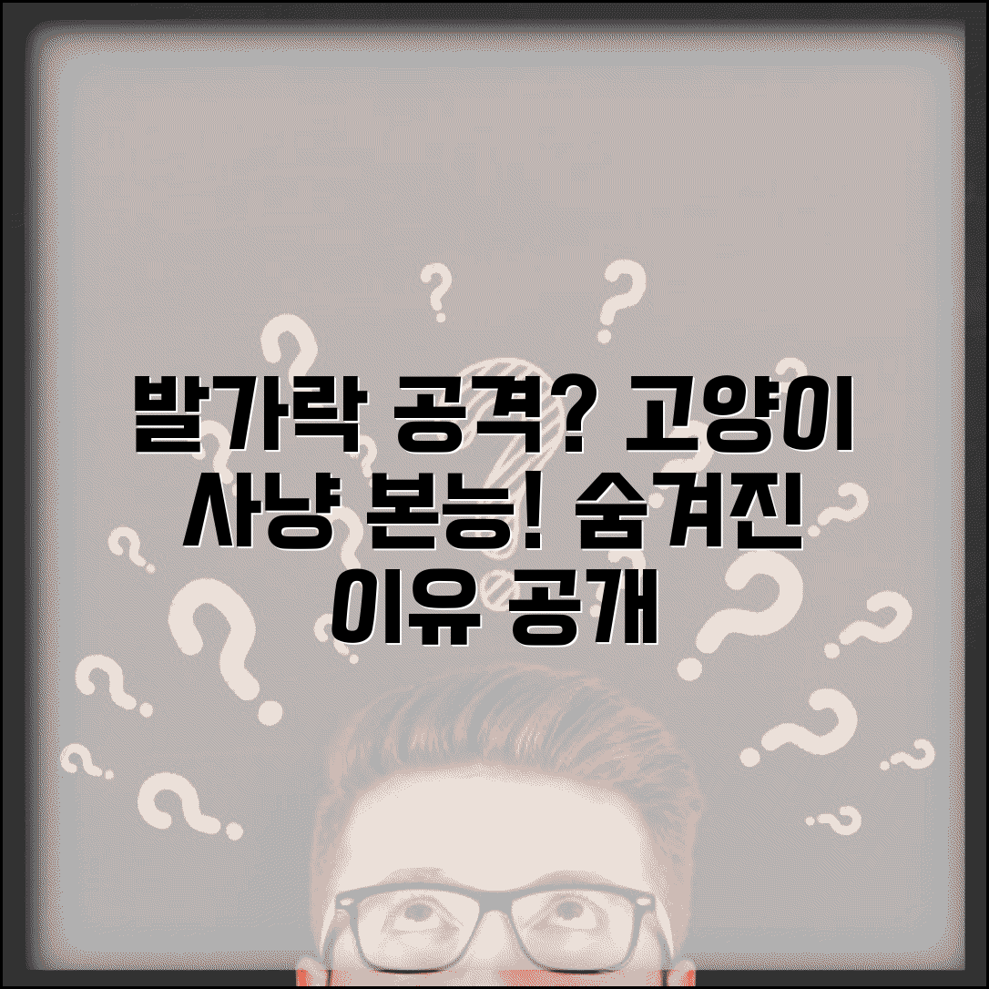 고양이가 사람 발가락 공격하는 이유가 뭔가요 | 고양이 발가락 | 사냥놀이 | 행동