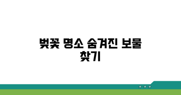 벚꽃 명소, 숨겨진 보물찾기