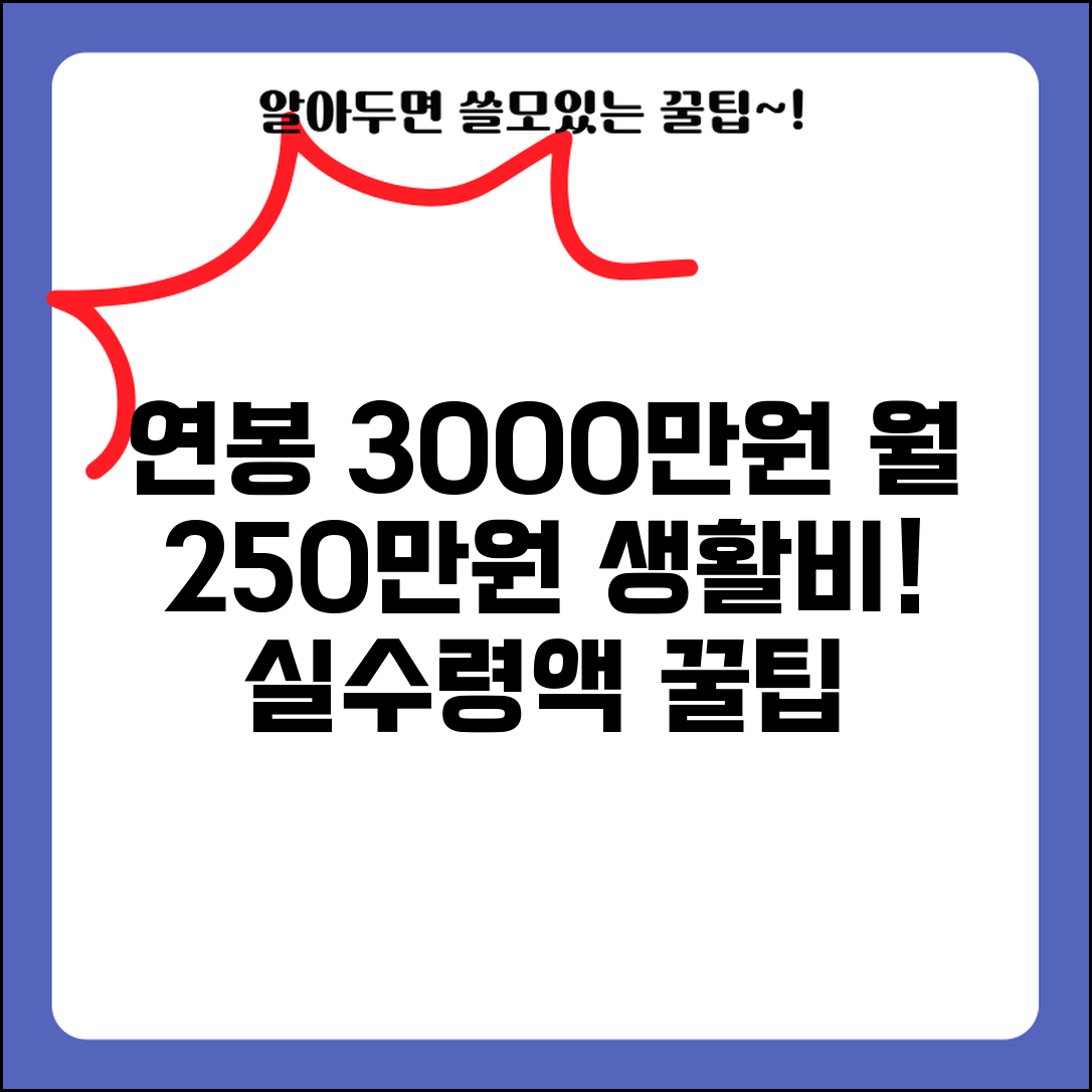 연봉 3000만원 실수령액 계산과 생활 수준 | 월 실수령 250만원 생활비 배분