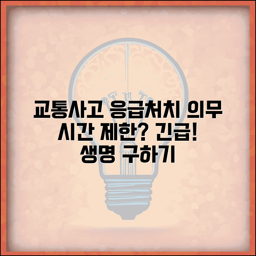 교통사고 응급처치 의무 시간 제한 | 사고 피해자 구호 의무와 시간