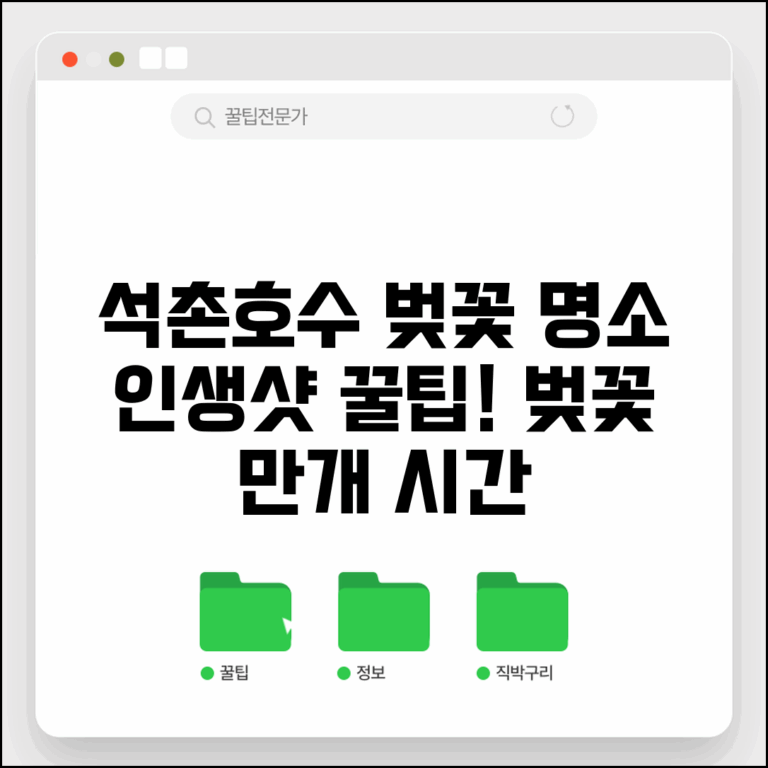 석촌호수 벚꽃 명소 총정리 | 인생샷 포인트와 최적 시간대