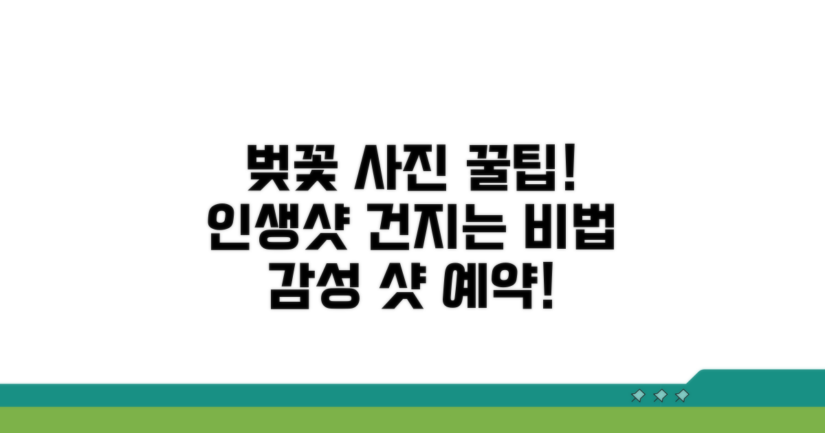 벚꽃 시즌 사진 찍는 꿀팁