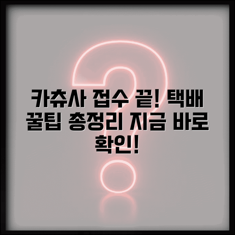 카츄사 접수 서비스 | 카츄사 택배 접수와 배송 이용법, 조건 및 절차 총정리