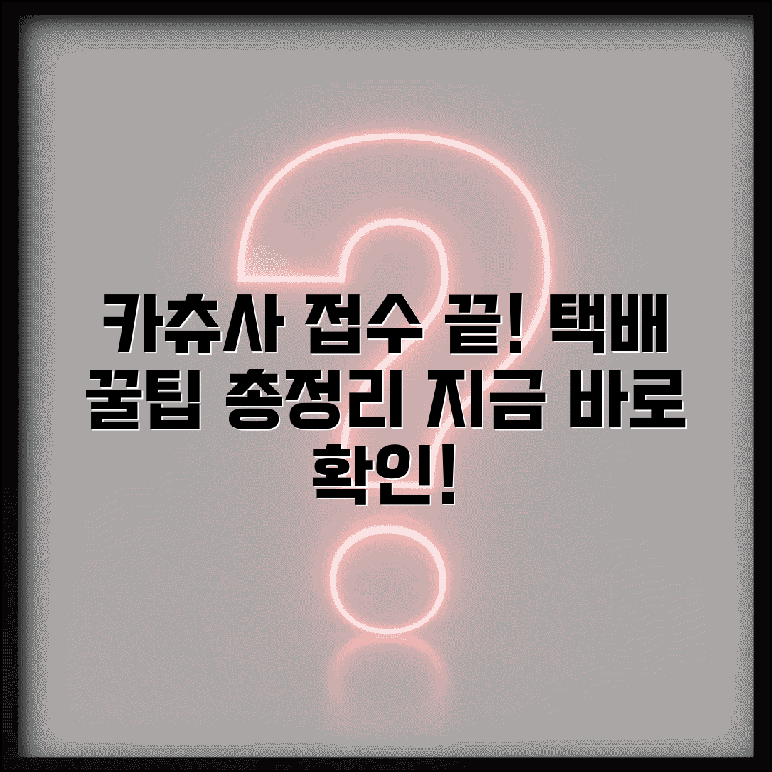 카츄사 접수 서비스 | 카츄사 택배 접수와 배송 이용법, 조건 및 절차 총정리