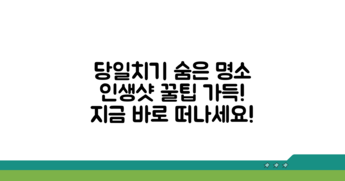 숨겨진 명소 포함! 당일치기 추천 코스