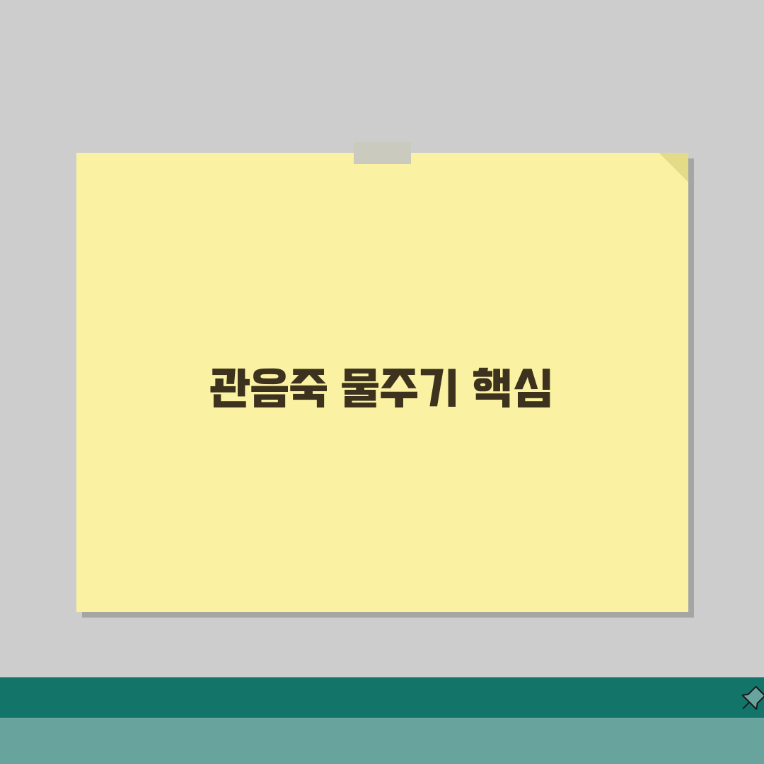 관음죽 물주기 주기 방법 | 초보도 성공하는 관음죽 키우기 관리법