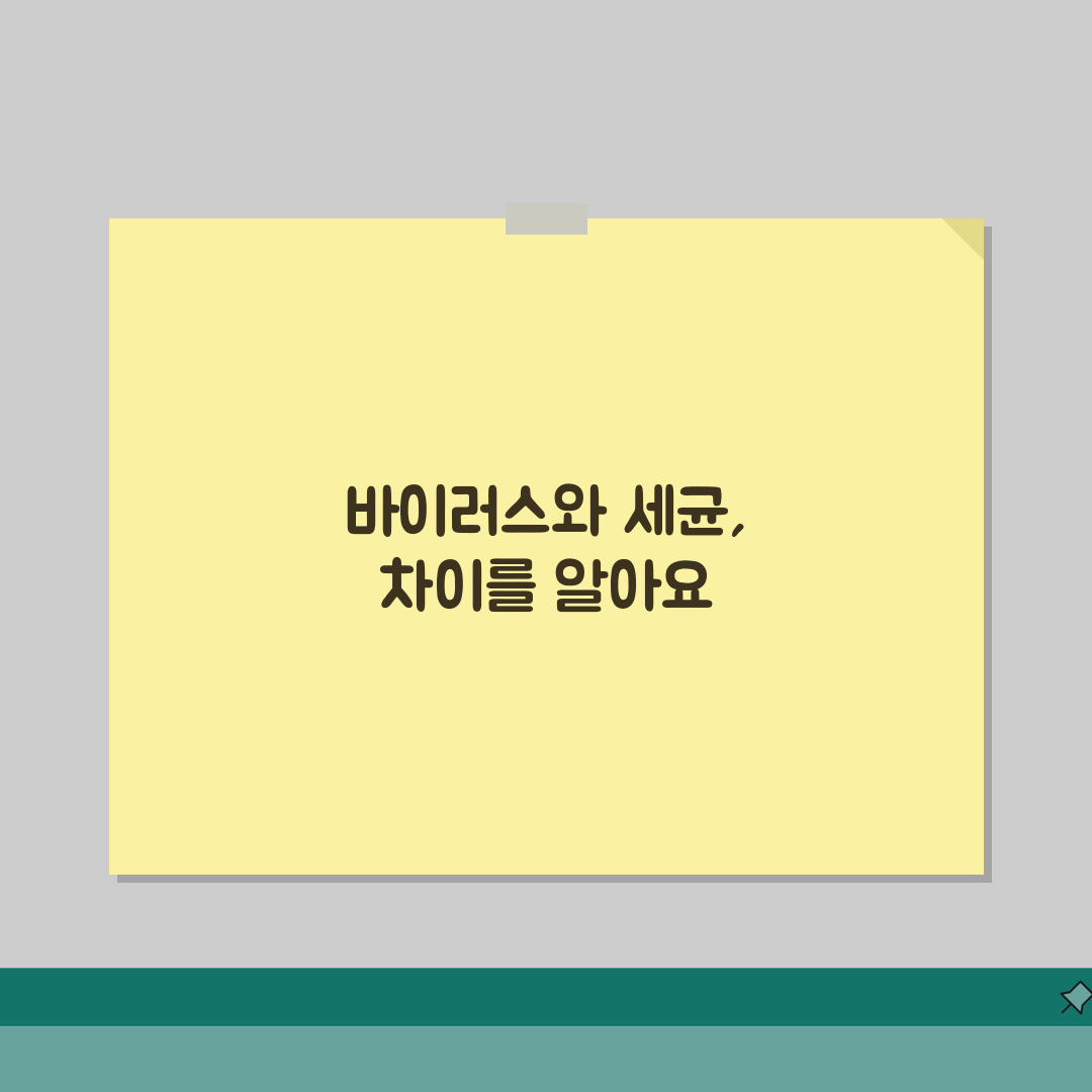 바이러스 세균 차이점: 구조 증식 치료법 비교 분석