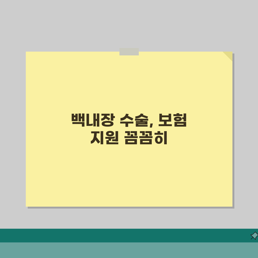 65세 백내장 수술지원 건강보험 적용범위와 병원비 비교